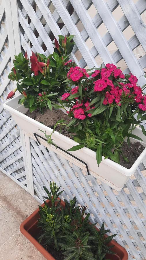Casacecilia Relax Ξενοδοχείο Συρακούσες Εξωτερικό φωτογραφία