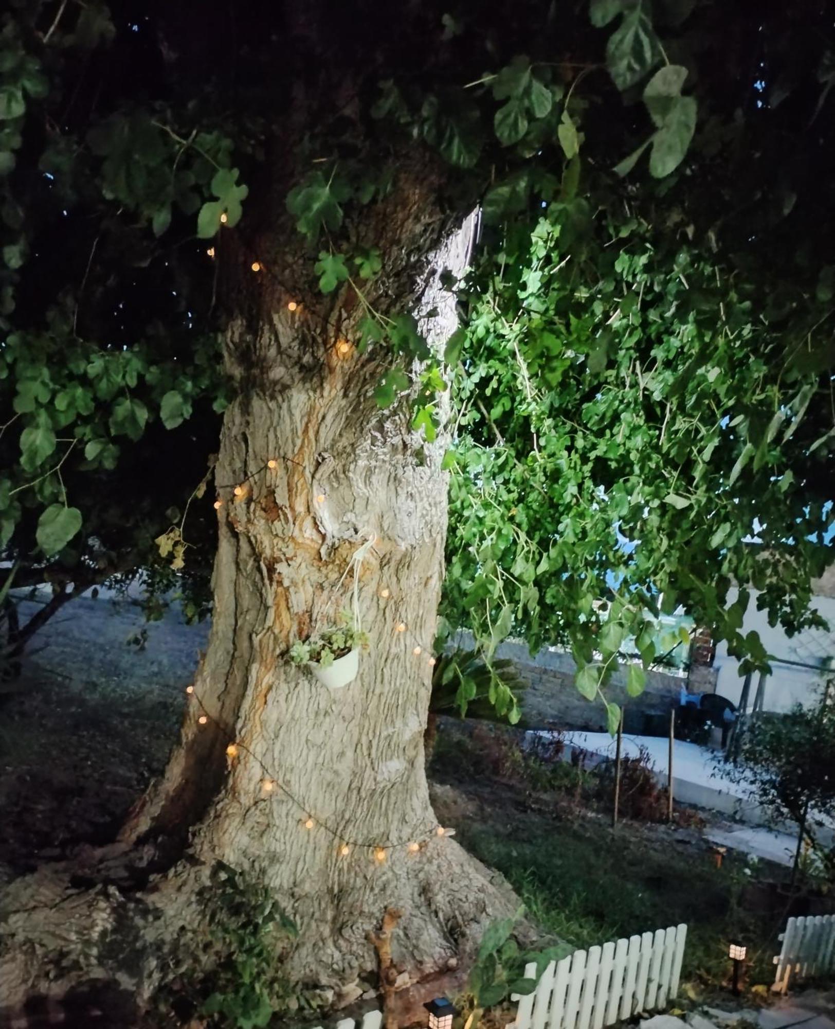 Casacecilia Relax Ξενοδοχείο Συρακούσες Δωμάτιο φωτογραφία